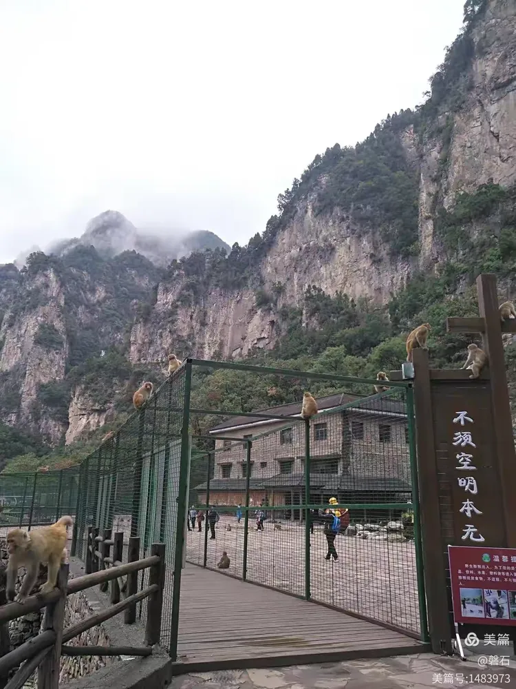 山西晋城莽河国家自然保护区猴山